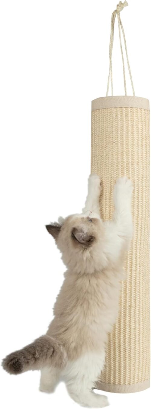 Best Pet Supplies Catify Hanging Log and Mat Scratchers for Indoor Cats, Fun and Interactive Indoor Play, Supports Natural Pet Behaviors, Heavy Duty – Cream