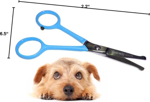 Tiny Trim 4.5" Ball-Tipped Scissor for Dog, Cat and all Pet Grooming - Ear, Nose, Face & Paw - Scaredy Cut's small Safety Scissor Blue - Image 7