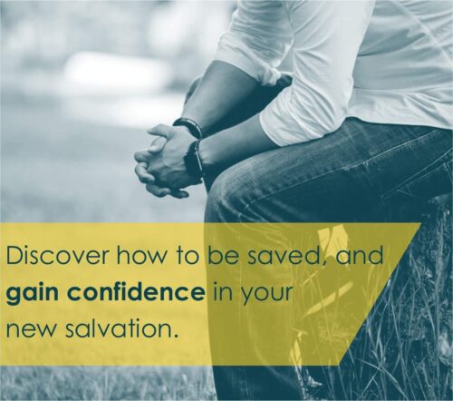 New Believer's Bible NLT (Softcover): First Steps for New Christians - Image 10