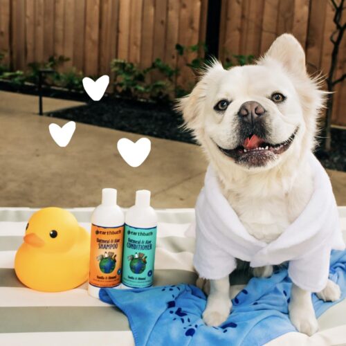 earthbath, Oatmeal & Aloe Conditioner - Dog Conditioner for Allergies & Itching, Dry Skin, Dog Wash That Helps Detangle & Relieve Itching, Made in USA, Cruelty Free Pet Conditioners - 16 Oz (1 Pack) - Image 5