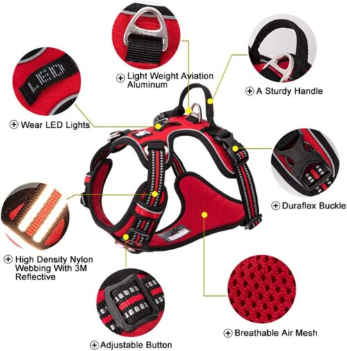 TRUE LOVE Dog Harness No Pull Nylon Reflective Pet Harness Adjustable Comfortable Control Step-in Brilliant Colors Truelove TLH56512 XS Grass Green - Image 3