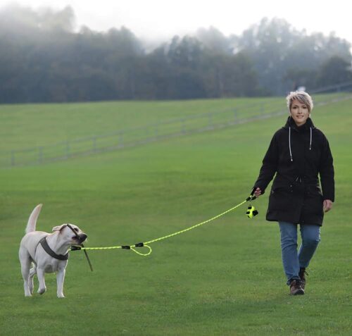 Plutus Pet Rope Dog Leash 6ft Long,Traffic Padded Two Handle,Heavy Duty,Reflective Double Handles Lead for Control Safety Training,Leashes for Large Dogs or Medium Dogs,Dual Handles Leads(Green) - Image 2