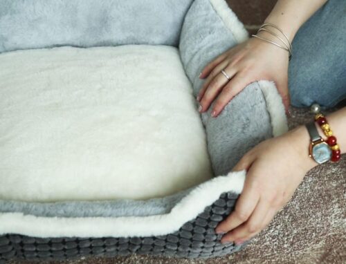 Dog Beds for Two Small Dogs, Double Cat Beds for Indoor Cats, Super Soft Washable Cat Bed with Anti-Slip & Water-Resistant Bottom, Luxury Durable Kitten Bed Puppy Bed, Rectangle Grey Animal Pet Beds - Image 9