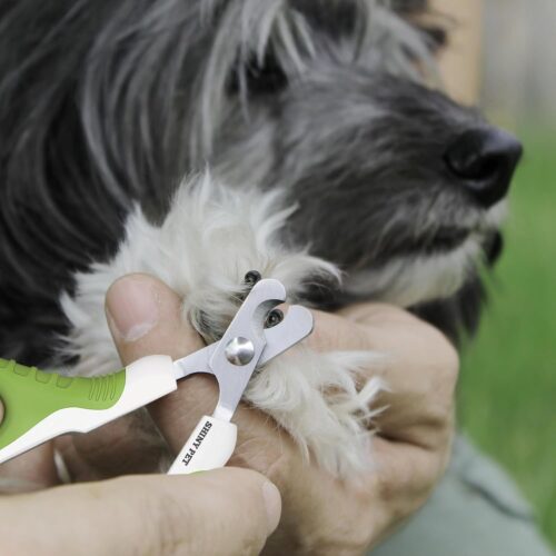 Pet Nail Clippers for Small Animals - Best Cat Nail Clippers & Claw Trimmer for Home Grooming Kit - Professional Grooming Tool for Tiny Dog Cat Bunny Rabbit Bird Puppy Kitten Ferret - Ebook Guide - Image 7
