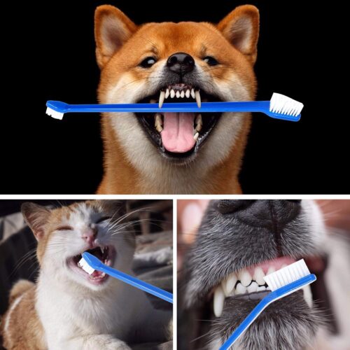 Newday 50 Pieces Double-Headed Dog Cat Pet Toothbrush, Super Soft Bristles Oral Care Teeth, pet Tooth Brush for Dogs, Dog toothbrushes in Bulk Individual polybag (Blue) - Image 5