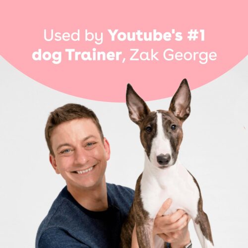 Pupford Freeze Dried Training Treats for Dogs & Puppies, 475+ Two Ingredient Bites (Rabbit, 4 oz) - Image 7