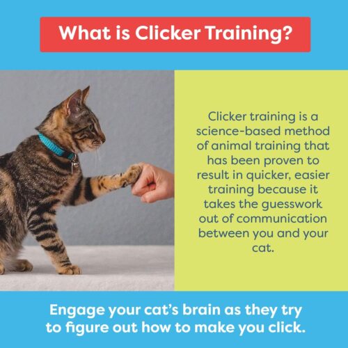 CAT SCHOOL Clicker Training Kit - 1 Cat Training Clicker, 1 Target Stick, 1 Step-by-Step Instruction Booklet - Clicker Tools for Cat Training, Fist Bump Training, Positive Behavior - Image 3