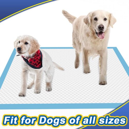 Dog Pee Pads Extra Large 80 Count, Thicken Dog Training Pads 30"x36", Puppy Pee Sheets XL for Indoor, Outdoor Use, Heavy Absorbent Disposable Underpads Large Capacity - Image 3