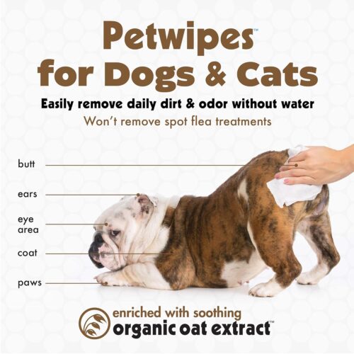 Petkin Pet Wipes for Dogs and Cats, Oatmeal, 100 Wipes (Large) for Dogs and Cats - Soothes Itchy Dry Skin and Cleans Ears, Face, Butt, Body and Eye Area - Idea for Home and Travel - Image 3