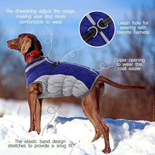 FUAMEY Dog Coat,Warm Dog Jacket Winter Coat Paded Dog Fleece Vest Reflective Dog Cold Weather Coats with Built in Harness Waterproof Windproof Dog Snow Jacket Clothes with Zipper Blue Small - Image 4