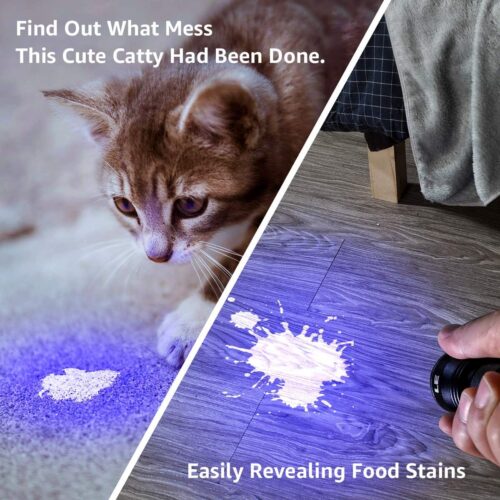 Lighting EVER Black Light Flashlight, Small UV Lights 395nm, Portable Ultraviolet Light Detector for Invisible Ink Pens, Dog Cat Pet Urine Stain, AAA Batteries Included - Image 2