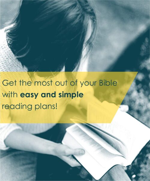 New Believer's Bible NLT (Softcover): First Steps for New Christians - Image 9