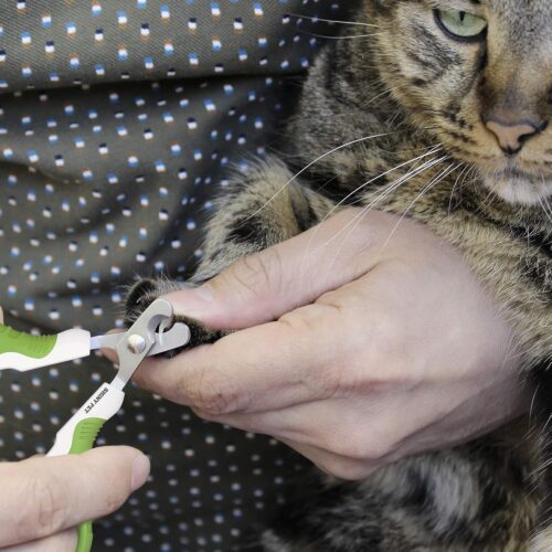 Pet Nail Clippers for Small Animals - Best Cat Nail Clippers & Claw Trimmer for Home Grooming Kit - Professional Grooming Tool for Tiny Dog Cat Bunny Rabbit Bird Puppy Kitten Ferret - Ebook Guide - Image 6
