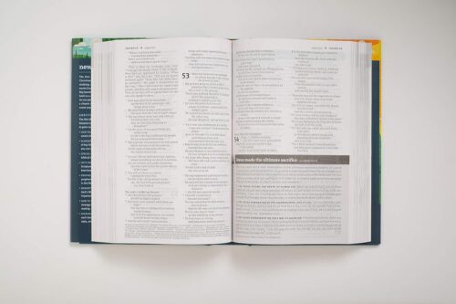 New Believer's Bible NLT (Softcover): First Steps for New Christians - Image 4