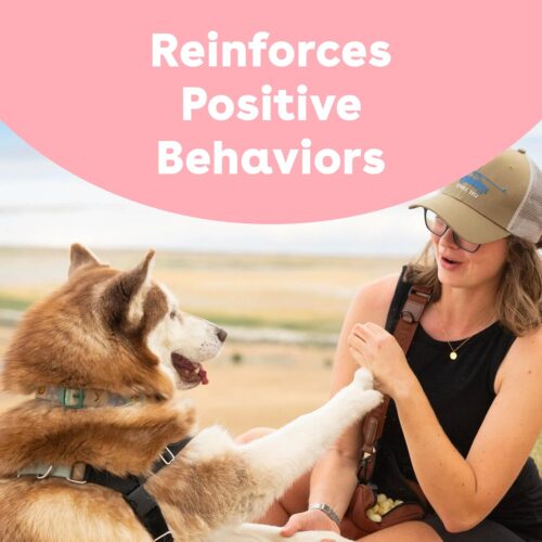 Pupford Freeze Dried Training Treats for Dogs & Puppies, 475+ Two Ingredient Bites (Rabbit, 4 oz) - Image 3
