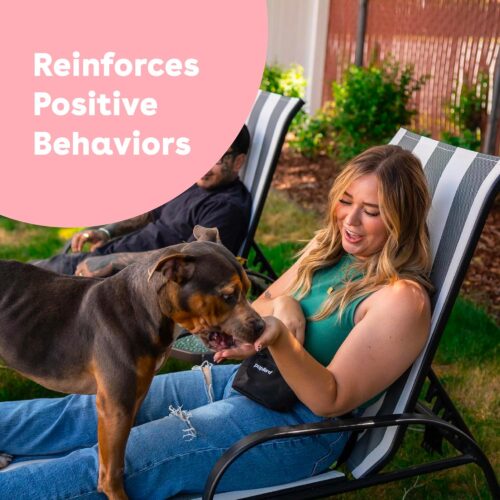 Pupford Freeze Dried Training Treats for Dogs & Puppies, 475+ Two Ingredient Bites (Salmon, 4 oz) - Image 3