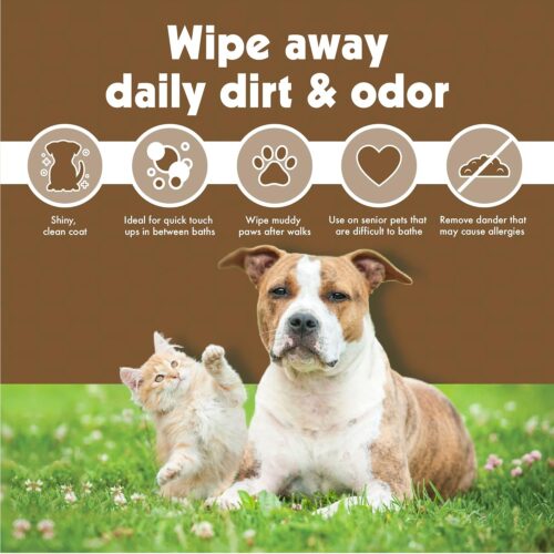 Petkin Pet Wipes for Dogs and Cats, Oatmeal, 100 Wipes (Large) for Dogs and Cats - Soothes Itchy Dry Skin and Cleans Ears, Face, Butt, Body and Eye Area - Idea for Home and Travel - Image 7