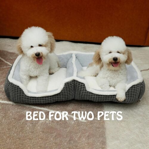 Dog Beds for Two Small Dogs, Double Cat Beds for Indoor Cats, Super Soft Washable Cat Bed with Anti-Slip & Water-Resistant Bottom, Luxury Durable Kitten Bed Puppy Bed, Rectangle Grey Animal Pet Beds - Image 2