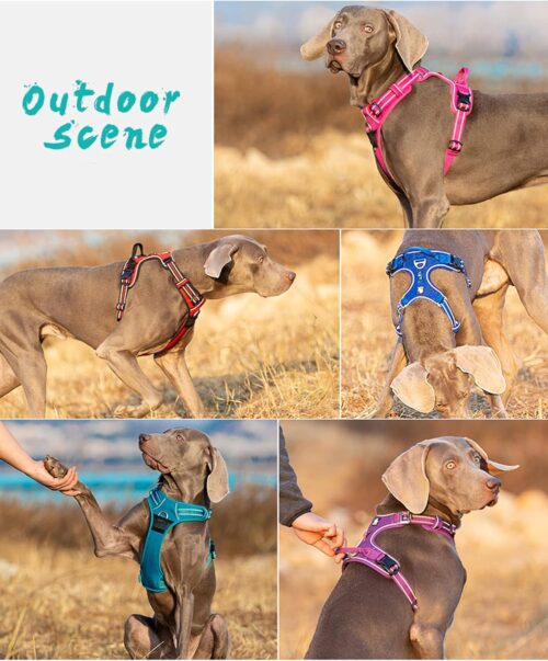 TRUE LOVE Dog Harness No Pull Nylon Reflective Pet Harness Adjustable Comfortable Control Step-in Brilliant Colors Truelove TLH56512 XS Grass Green - Image 6