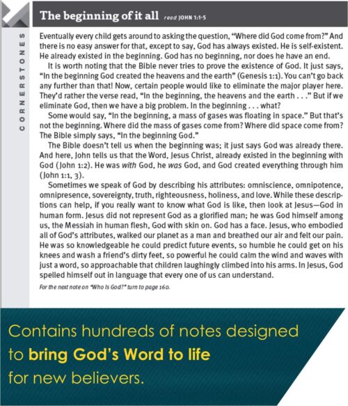 New Believer's Bible NLT (Softcover): First Steps for New Christians - Image 5