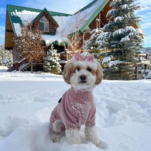 Fitwarm Turtleneck Knitted Dog Sweater Puppy Pajamas Thermal Doggie Winter Clothes Knitwear Pet Coats Cat Apparel Pink Small - Image 4