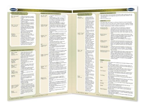 Biblical Characters - Religion Quick Reference Guide by Permacharts - Image 2