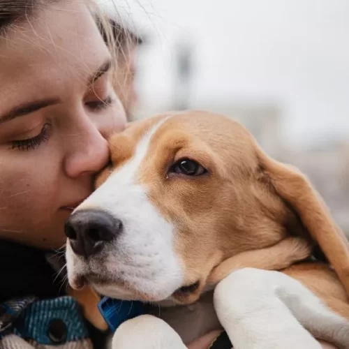 Everything Pets